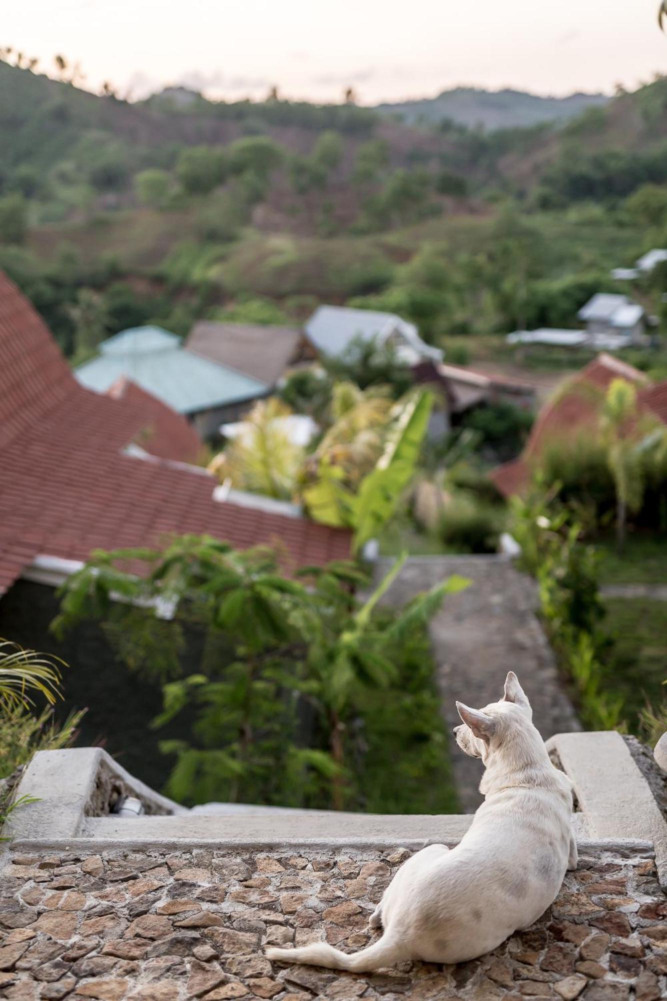 Drop In Surf Lodge Kuta (Lombok) Exterior foto
