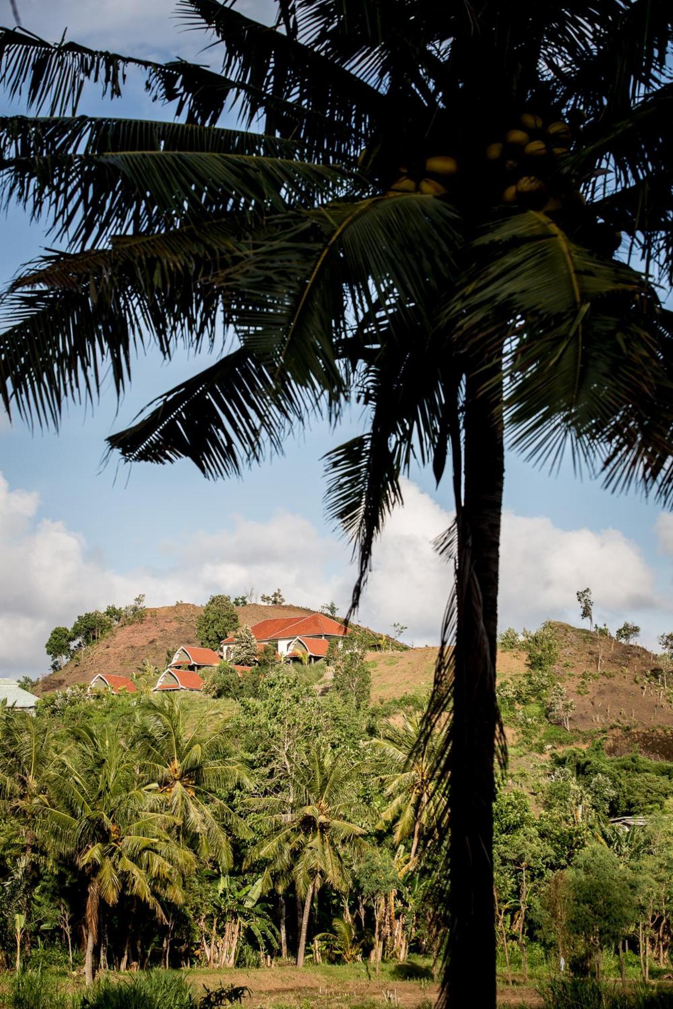 Drop In Surf Lodge Kuta (Lombok) Exterior foto